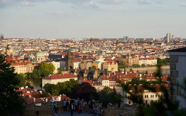 Top view - roofs with red tiles in old buildings — Stockfoto