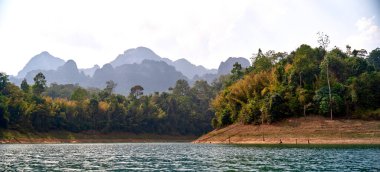 Khao SOK national Park is nature reserve