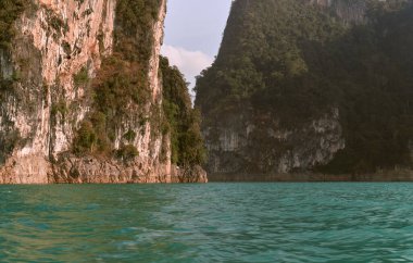 Khao SOK national Park is nature reserve