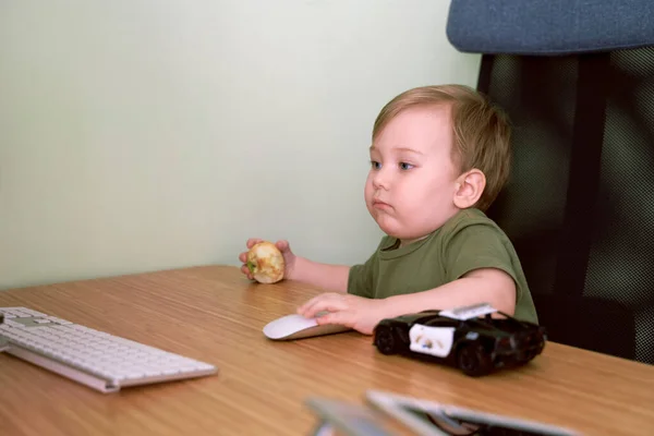 Criança pequena está ocupada usando o computador, usando o mouse — Fotografia de Stock