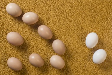 Parlak bir arka plan üzerine bir çok yumurta