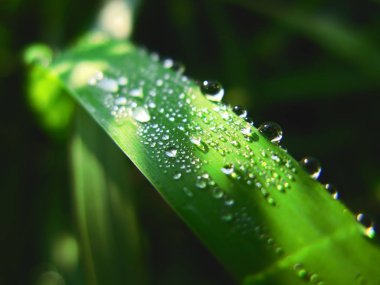 iç yüz altmış altı ayarla