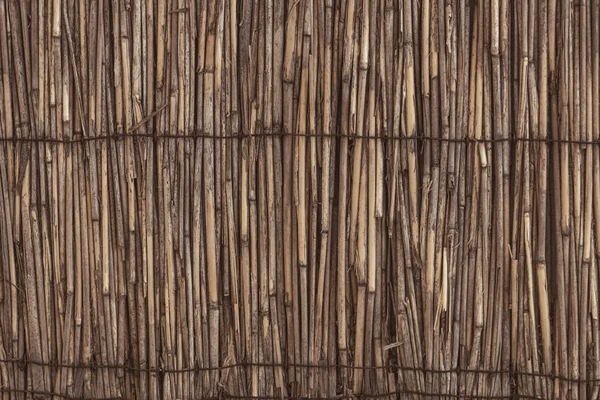 Original background of dry cane — Stock Photo, Image