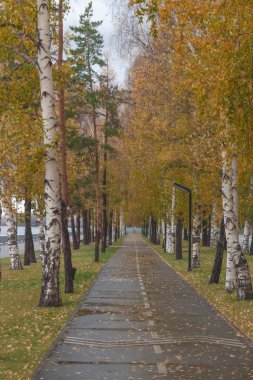 Sonbahar parkında pist