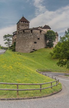 Vaduz Castle I