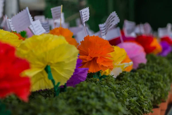 Alfama festeggiamenti Fiori — Foto Stock