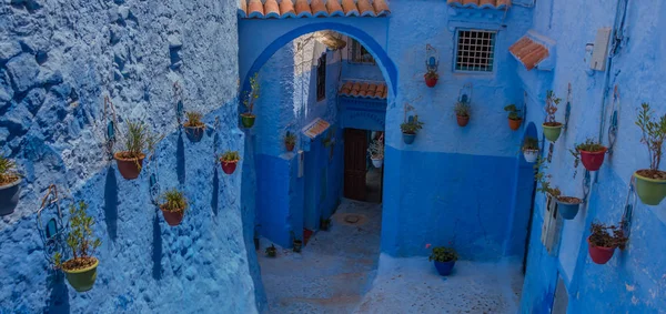 Chefchaouen mavi sokakları II
