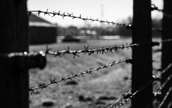 Cercas Birkenau IV —  Fotos de Stock