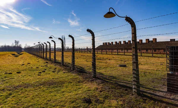 Birkenau Fences II — 图库照片