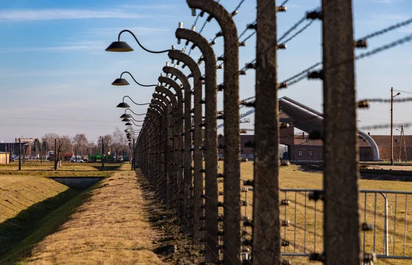 Birkenau Fences VII — 图库照片