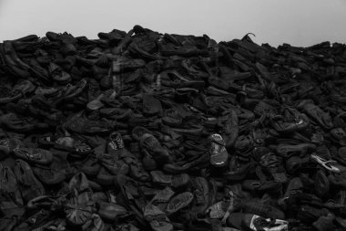 Auschwitz İkinci Delil