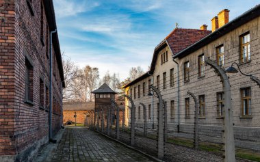 Auschwitz Toprakları Viii