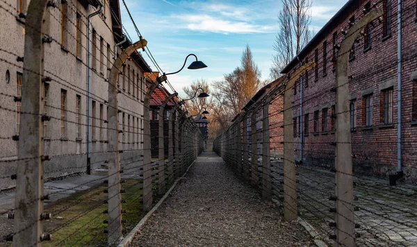Auschwitzgrund x — Stockfoto