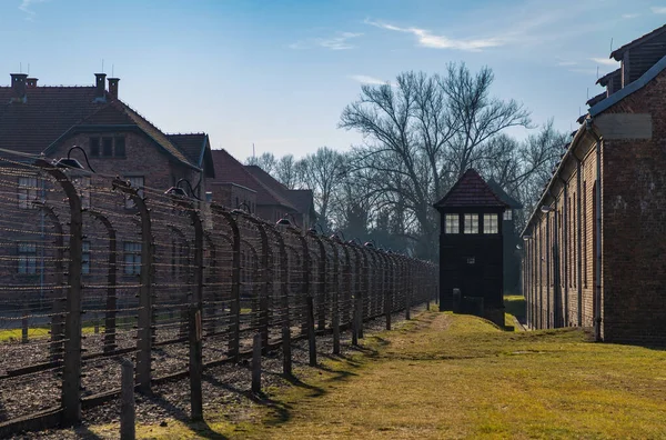 Auschwitz Zemini