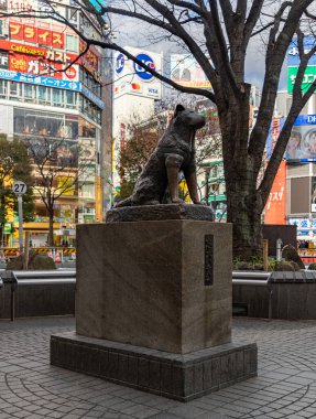 Shibuya 'daki Hachiko Anıt Heykeli' nin bir resmi.).