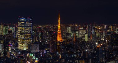 Tokyo Kulesi 'nin ve etrafındaki şehrin geceleri çekilmiş bir resmi..