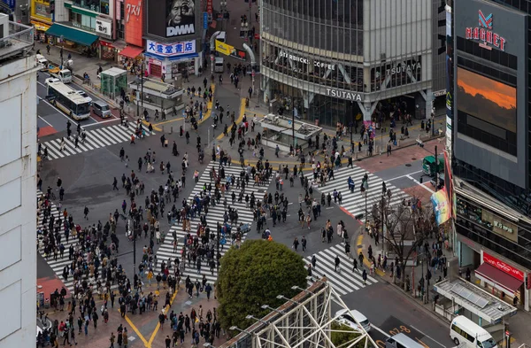 Una Foto Del Cruce Shibuya Vista Desde Arriba Tokio —  Fotos de Stock