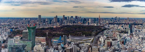 Een Panorama Foto Van Tokio Gezien Van Bovenaf Meestal Met — Stockfoto