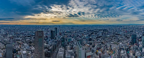 Een Panorama Schilderstuk Van Tokio Stad Landschap Bij Zonsondergang — Stockfoto