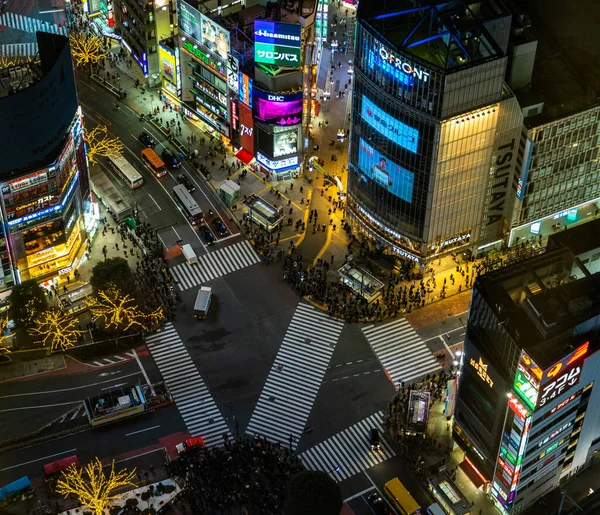 Een Schilderstuk Van Shibuya Crossing Gezien Van Boven Avond — Stockfoto