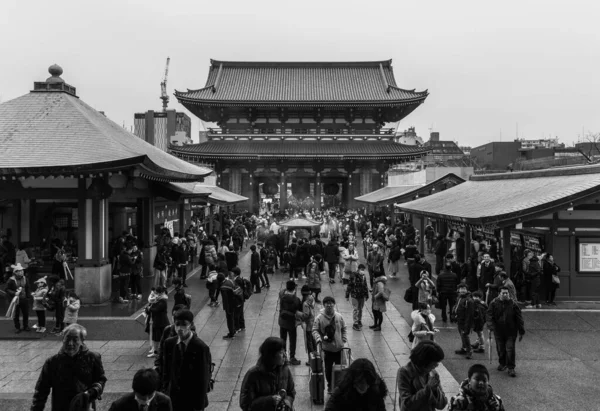 Ein Schwarz Weiß Bild Des Senso Tempels Tokyo — Stockfoto