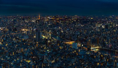 Tokyo şehir manzarasının bir panorama resmi, yukarıdan, gece görüldüğü gibi..