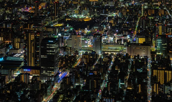 Een Schilderstuk Van Hét Sumida City Stadsgezicht Zoals Gezien Van — Stockfoto