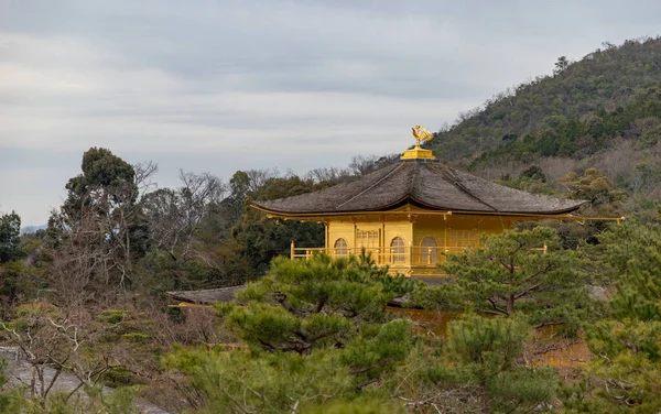 Egy Kép Kinkaku Templomról Ami Növényzeten Keresztül Kukucskál — Stock Fotó