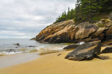 Plaj orman tarafından