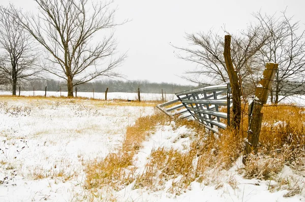 Le Pays Neige — Photo