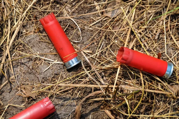 Three Shotgun Shells — Stock Photo, Image