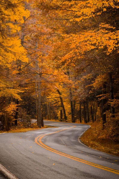 Sonbahar sırasında yol