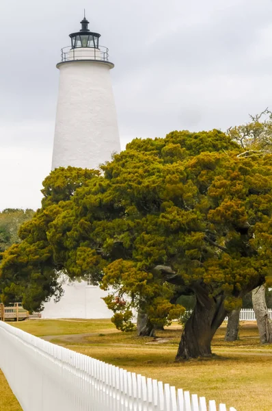 Ocracoke deniz feneri ağaçlar üzerinde