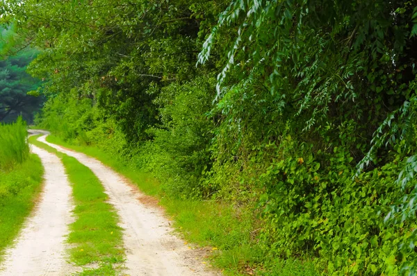 Antiguo camino de granja — Foto de Stock