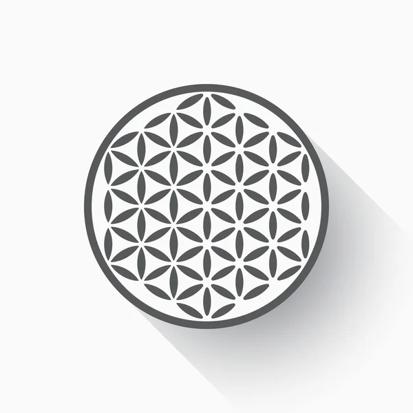 Flower of life vector — Stock Vector