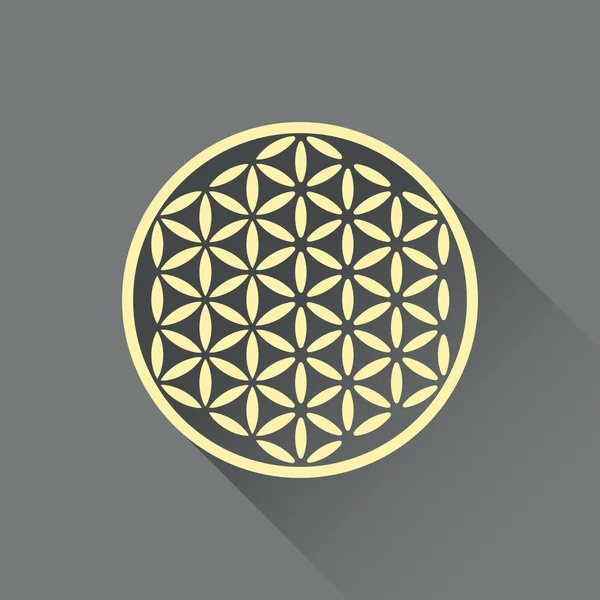 Flower of life vector — Stock Vector