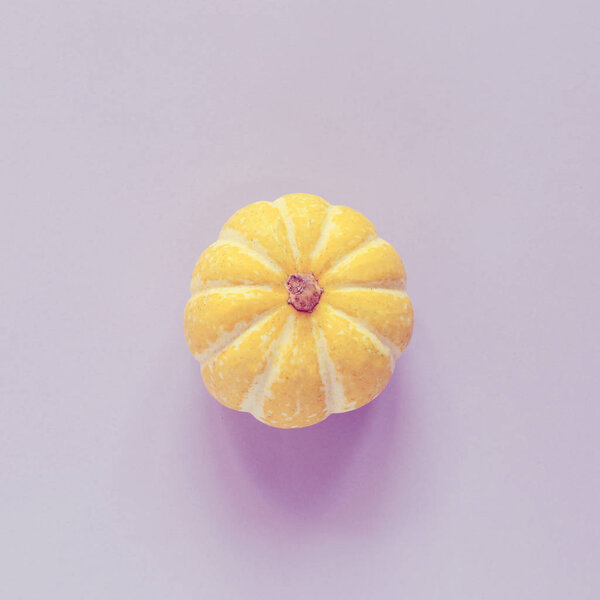 Ripe yellow pumpkin — Stock Photo, Image