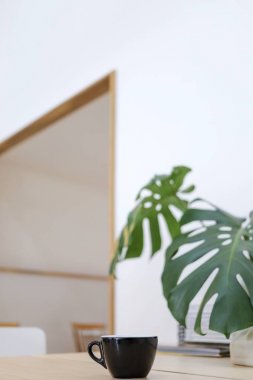 Son moda yaşam tarzı yeşil ve kahve fincan sade ile masaya bırakır