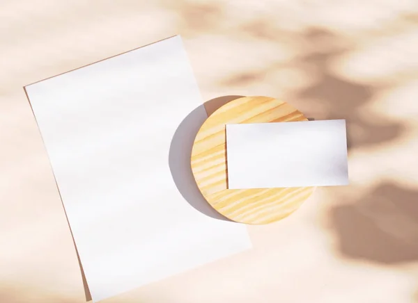 Juego plano de carné de identidad de marca y papel en blanco. — Foto de Stock