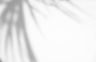 Gerçekçi ve organik yapraklar, ürün sunumu, arkaplan ve modelleme üzerine kaplama için, beyaz doku arka planı üzerinde doğal gölge etkisi bırakır