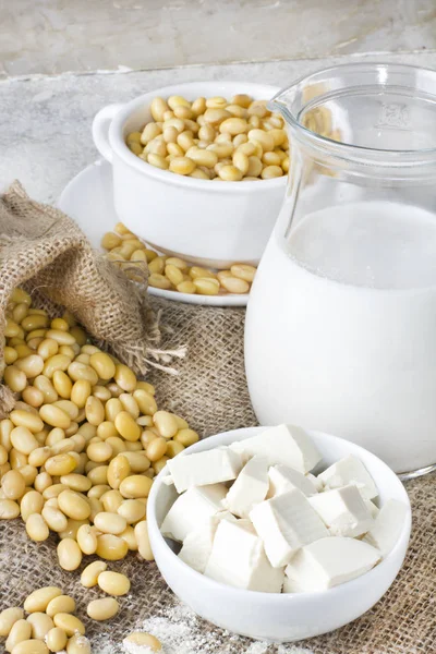신선한 유기농 간장 제품: 콩 우유, 간장 요구르트, 간장 chese 두 부 — 스톡 사진