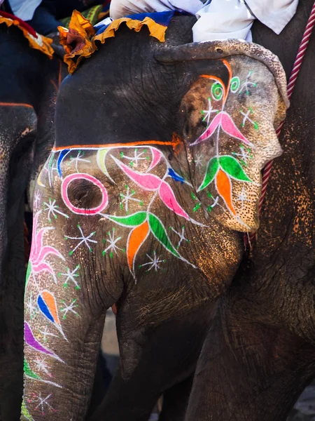 Painted Elephant in India — Stock Photo, Image