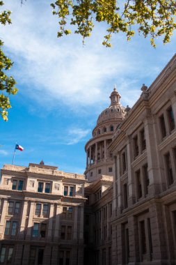 Austin Pembe Granit Texas State Capitol Building