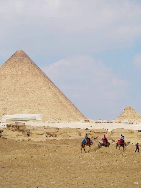 Row of Camels at Pyramids of Giza in Egypt