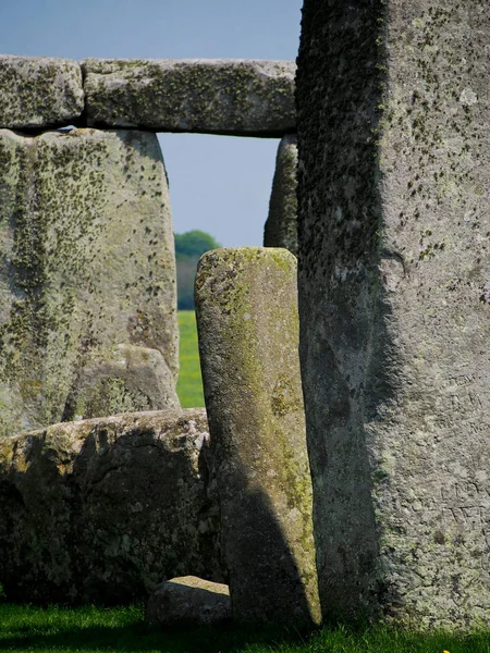 İngiltere 'deki antik Stonehenge kalıntıları