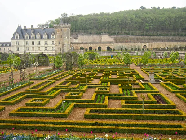 Formelle Gärten auf Schloss Villandry im Loire-Tal Frankreich — Stockfoto