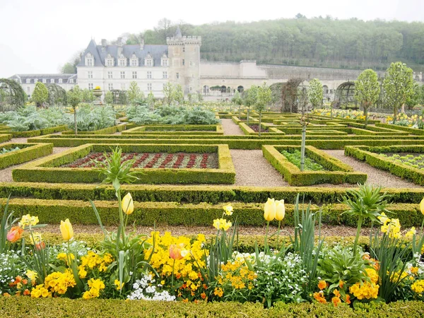 在卢瓦尔河谷法国的朗德庄园正式花园 — 图库照片