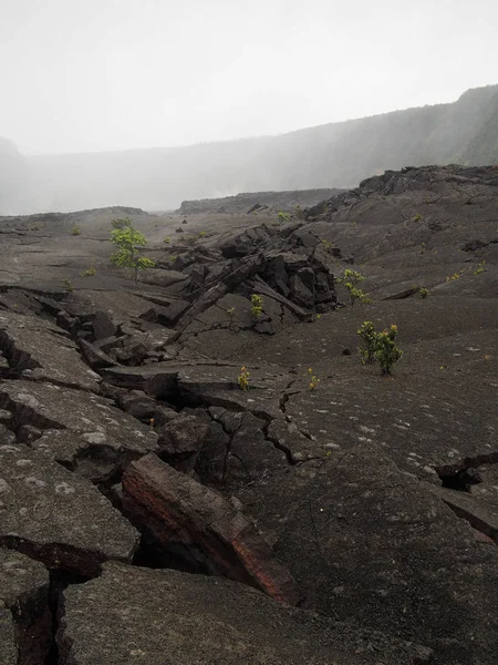 Rachado solo vulcânico no Havaí — Fotografia de Stock