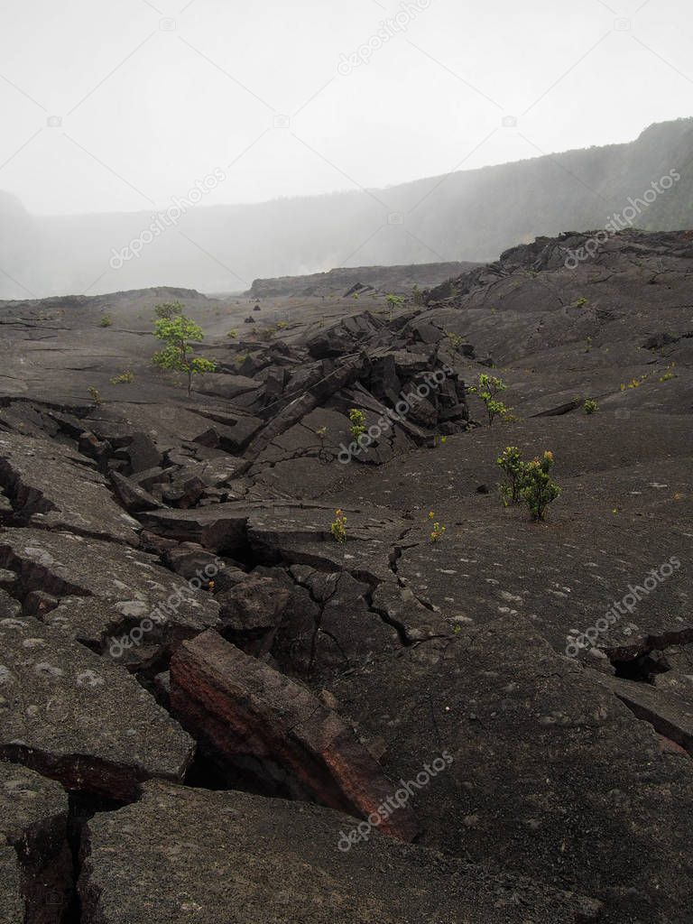 Cracked Volcanic Ground in Hawaii