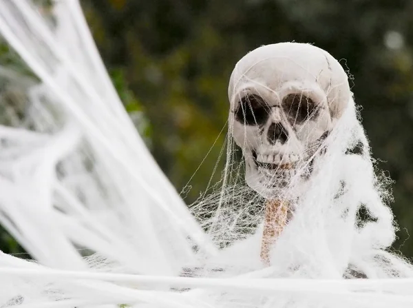 Műanyag csontvázat szereplő hamis webes Halloween dekoráció — Stock Fotó